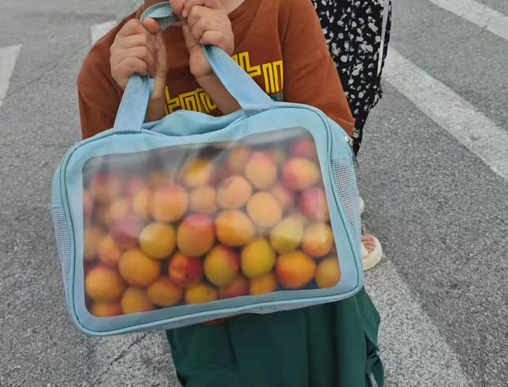 杏如雨下！爸爸用霍氏八极拳帮孩子摘杏，网友笑称“先摸下树表示安慰？”当事人：验树