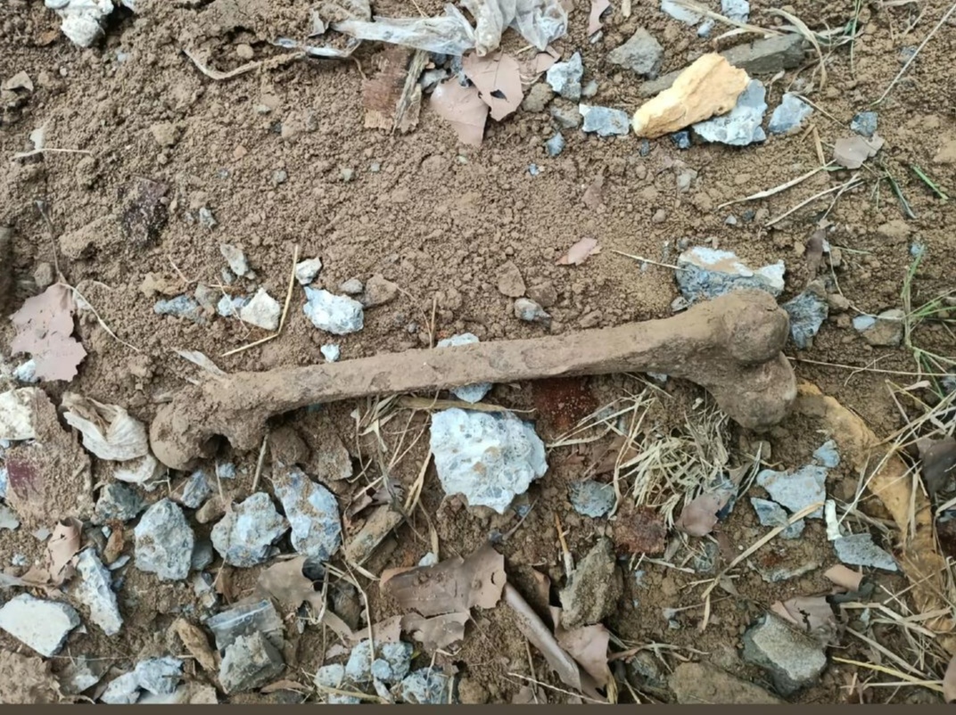 “装修新房挖出人骨”最新进展!警方:不涉及案件,应是买来的土方挖到坟 “装修新房挖出人骨”最新进展!警方:不涉及案件,应是买来的土方挖到坟