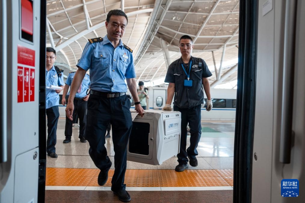 武汉:“萌宠”旅客乘高铁 武汉:“萌宠”旅客乘高铁