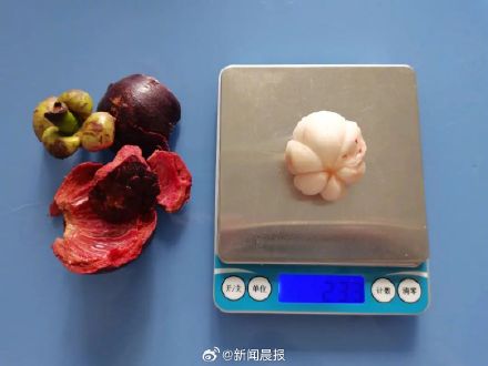 好吃但营养价值一般,热量还很高 山竹果肉变透明还能不能吃? 好吃但营养价值一般,热量还很高 山竹果肉变透明还能不能吃?