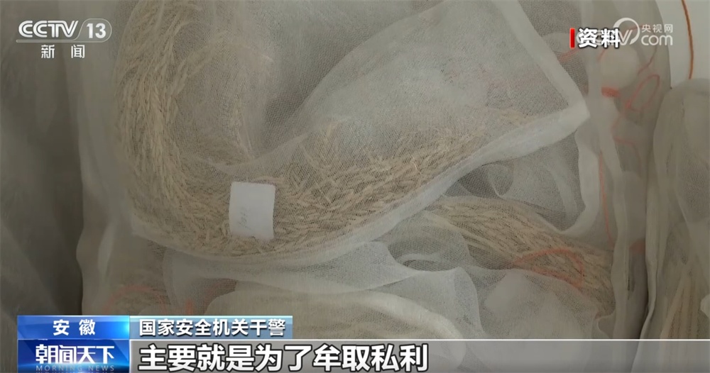 《国家安全法》10年来如何为国家“保驾护航”？个人如何维护好国家安全？一文速览↓