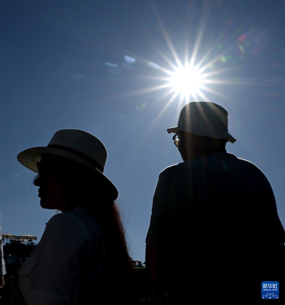 高温下的温布尔登 高温下的温布尔登