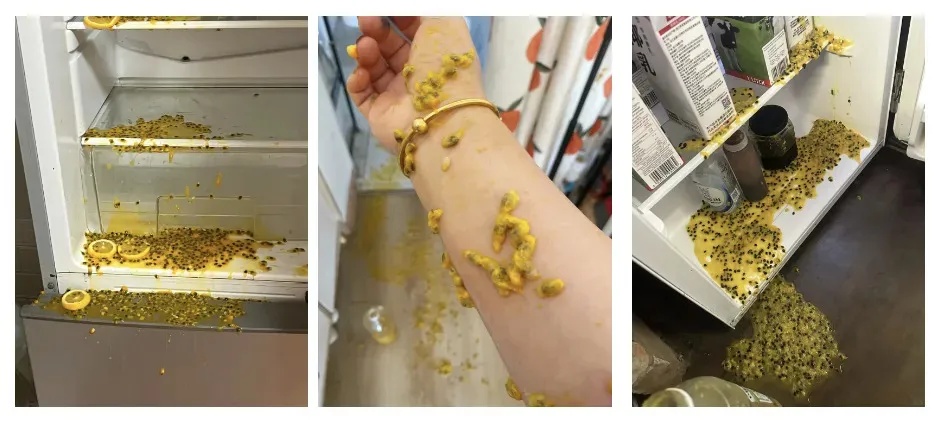 小心!这些东西,放冰箱可能爆炸!提醒家里人→ 小心!这些东西,放冰箱可能爆炸!提醒家里人→