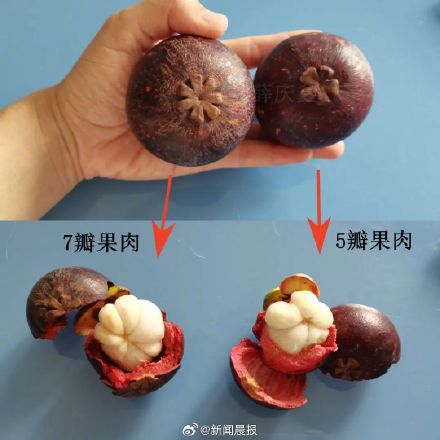 好吃但营养价值一般,热量还很高 山竹果肉变透明还能不能吃? 好吃但营养价值一般,热量还很高 山竹果肉变透明还能不能吃?