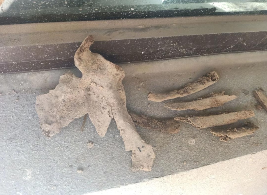 吓到腿软!新房院子中挖出多块人骨,开发商拒绝退换房,警方初判→ 吓到腿软!新房院子中挖出多块人骨,开发商拒绝退换房,警方初判→