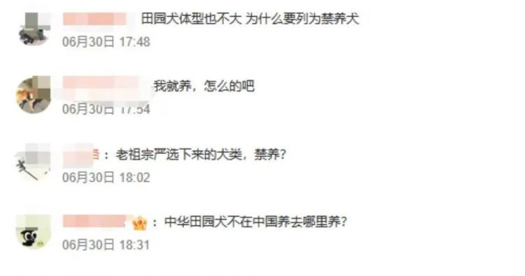 中华田园犬遭禁养？网友不解，官方回应来了……
