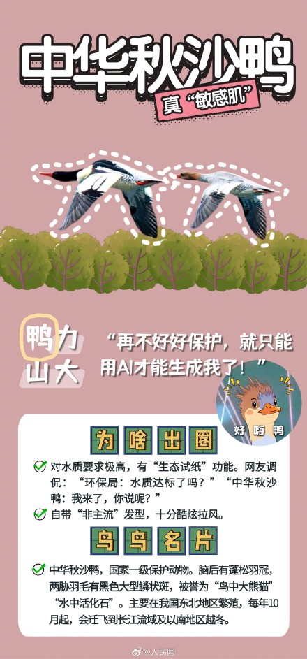 可可爱爱!野生鸟类竟是隐藏梗王 可可爱爱!野生鸟类竟是隐藏梗王