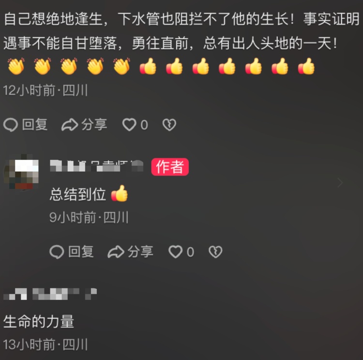 根系高达五层楼!四川南充惊现“树坚强”:树根撑破排水管道从屋顶长到地面 根系高达五层楼!四川南充惊现“树坚强”:树根撑破排水管道从屋顶长到地面