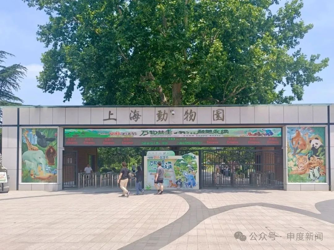 10月龄婴儿展厅内喝奶被赶,上海动物园道歉! 10月龄婴儿展厅内喝奶被赶,上海动物园道歉!