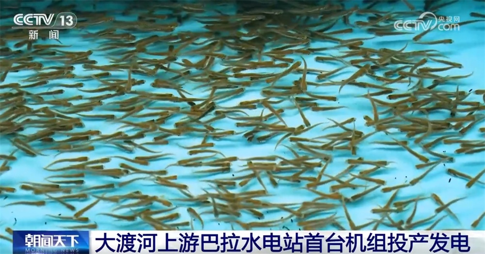 交通畅、航运忙、能源供给有保障 重大工程“硬核”实力彰显中国力量 交通畅、航运忙、能源供给有保障 重大工程“硬核”实力彰显中国力量