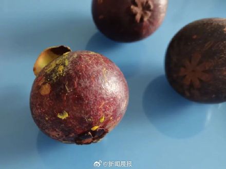 好吃但营养价值一般,热量还很高 山竹果肉变透明还能不能吃? 好吃但营养价值一般,热量还很高 山竹果肉变透明还能不能吃?