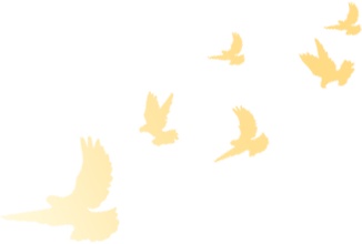 为党庆生,走进“传承——科学家精神主题展” 为党庆生,走进“传承——科学家精神主题展”