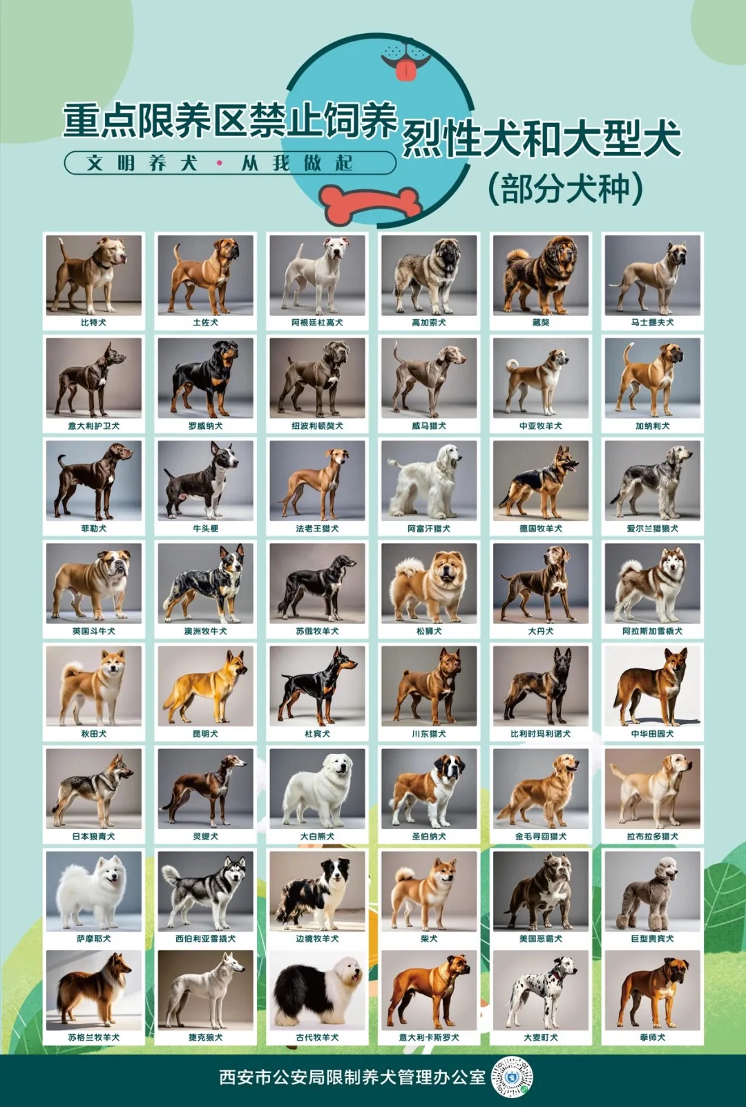 西安警方回应“中华田园犬禁养”:并非所有中华田园犬都禁养 西安警方回应“中华田园犬禁养”:并非所有中华田园犬都禁养