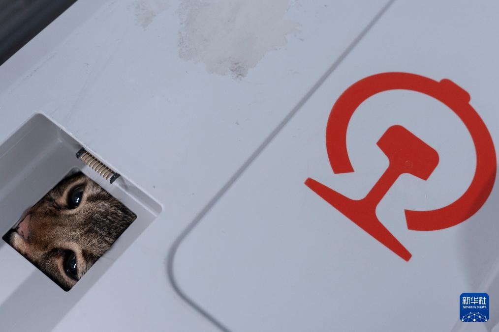 武汉:“萌宠”旅客乘高铁 武汉:“萌宠”旅客乘高铁