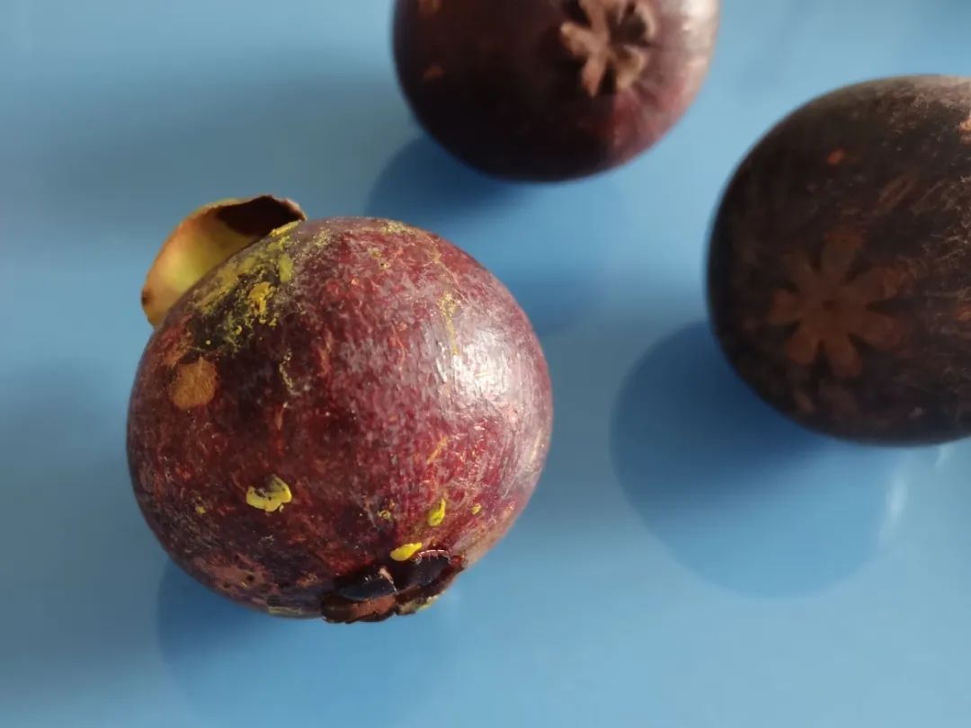 这种水果很贵,虽然好吃但营养价值一般,热量还很高…… 这种水果很贵,虽然好吃但营养价值一般,热量还很高……