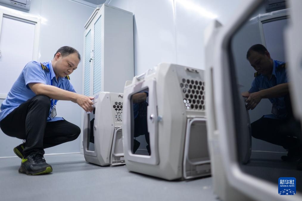 武汉:“萌宠”旅客乘高铁 武汉:“萌宠”旅客乘高铁