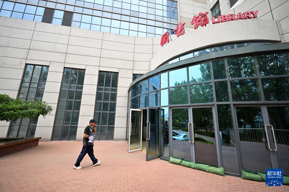 埃及青年 师出津城 埃及青年 师出津城