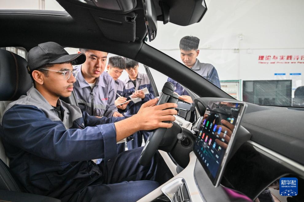 埃及青年 师出津城 埃及青年 师出津城