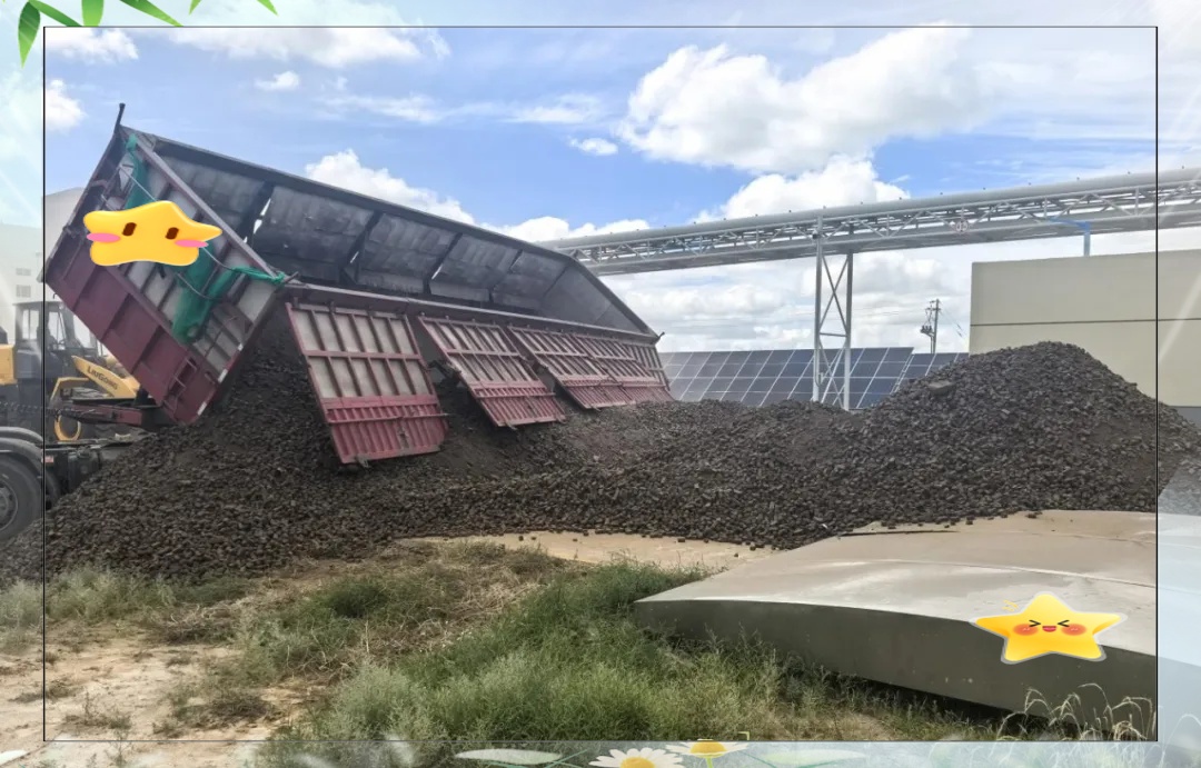 蘑菇造鞋?咖啡渣做衣服?这些“奇葩”环保行为,你见过几个? 蘑菇造鞋?咖啡渣做衣服?这些“奇葩”环保行为,你见过几个?