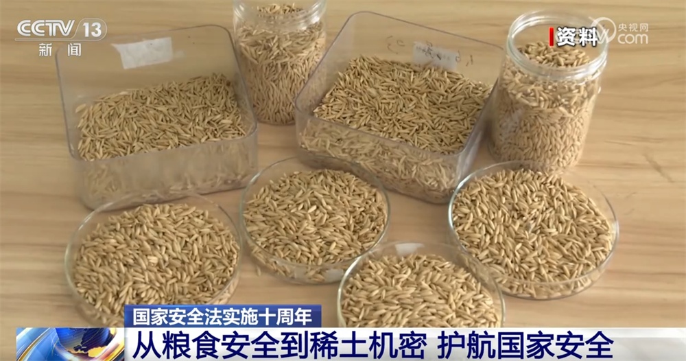 《国家安全法》10年来如何为国家“保驾护航”？个人如何维护好国家安全？一文速览↓