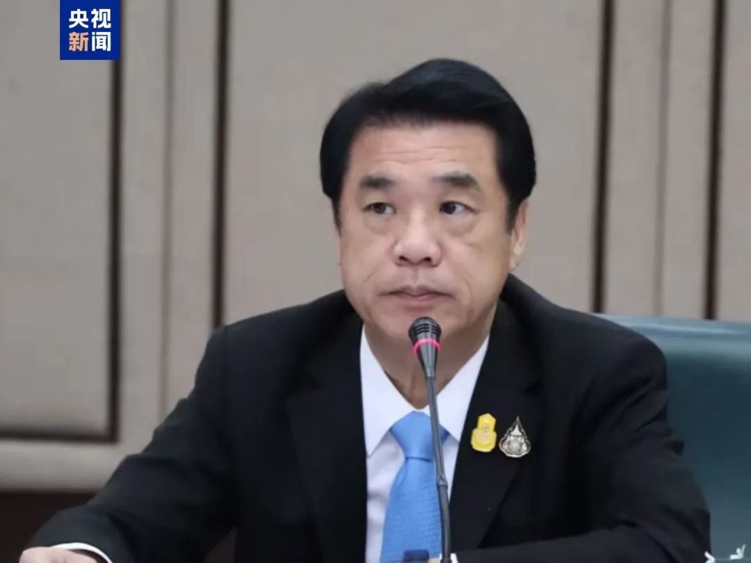 泰国总理被停职，他出任看守总理