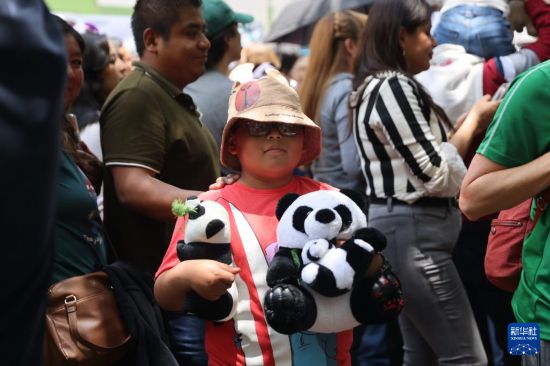 “欣欣”不老,情谊常新——墨西哥人同庆大熊猫“欣欣”35岁生日 “欣欣”不老,情谊常新——墨西哥人同庆大熊猫“欣欣”35岁生日