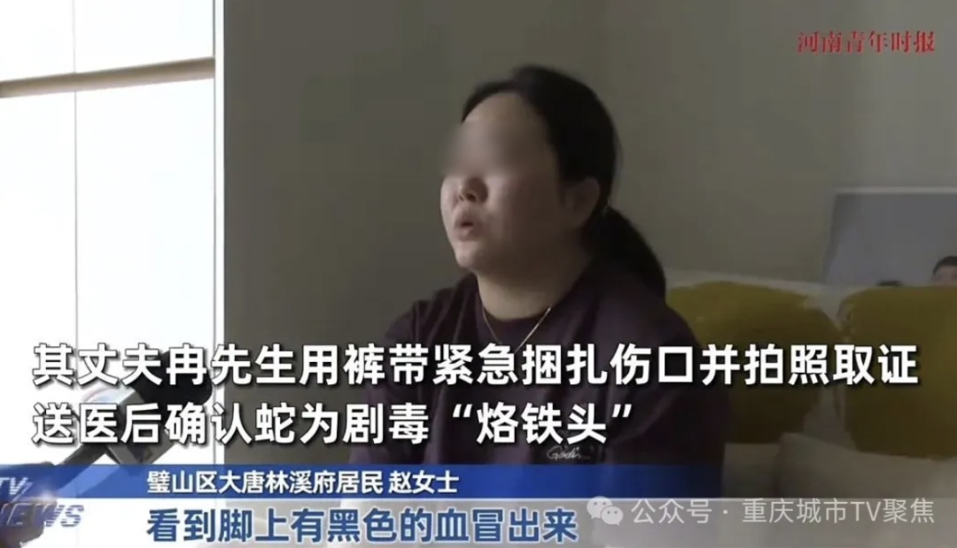 确认剧毒！妻子出电梯就被毒蛇咬伤，丈夫一个动作急救保命