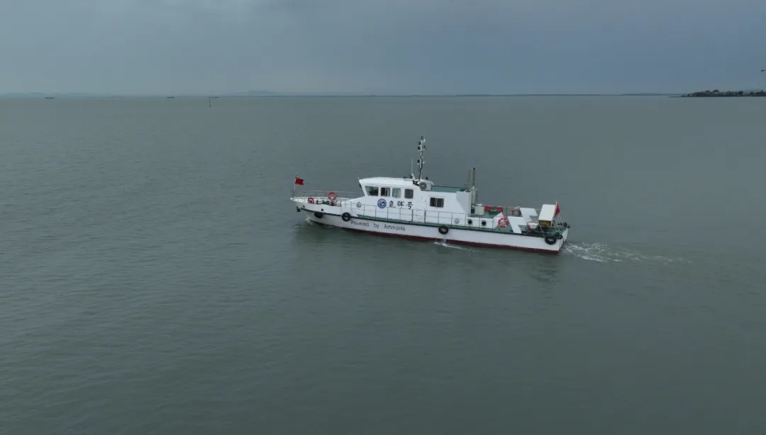 全球首艘!“氨晖号”在安徽首航成功 全球首艘!“氨晖号”在安徽首航成功