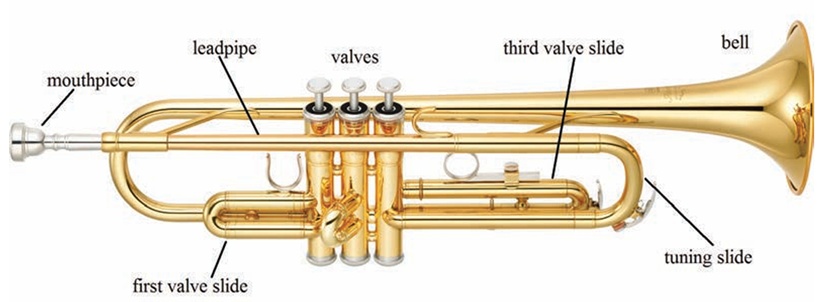 从吹瓶子到交响乐,人类跨越千年“驯服”了声音这东西 从吹瓶子到交响乐,人类跨越千年“驯服”了声音这东西