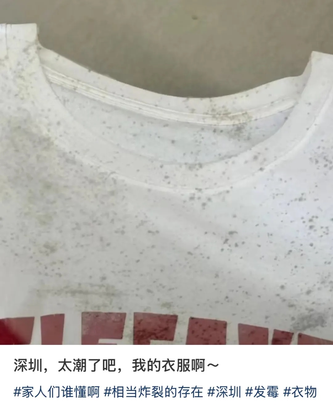 最近不少人家中出现,赶快清理! 最近不少人家中出现,赶快清理!