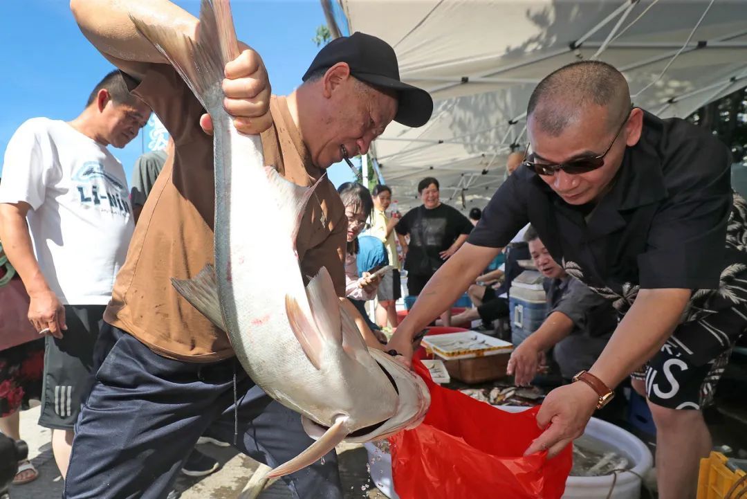 43斤“鱼王”创纪录!杭州人终于等到了 43斤“鱼王”创纪录!杭州人终于等到了