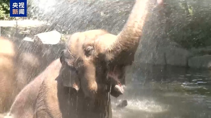 “热穹顶”效应下 新一轮热浪“烤”验北半球多国 “热穹顶”效应下 新一轮热浪“烤”验北半球多国