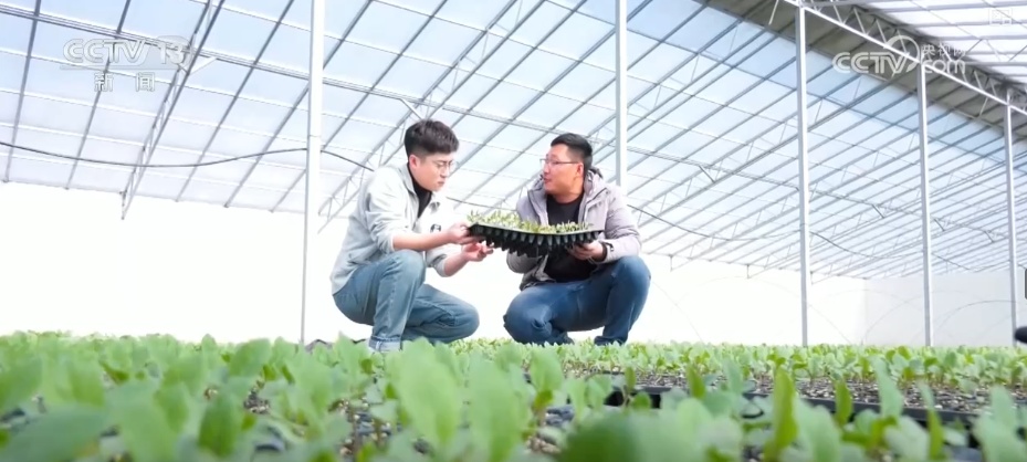 茶饮店跨界卖“菜”一杯难求成新宠 解码“以茶会友”具象化“新”表达 茶饮店跨界卖“菜”一杯难求成新宠 解码“以茶会友”具象化“新”表达