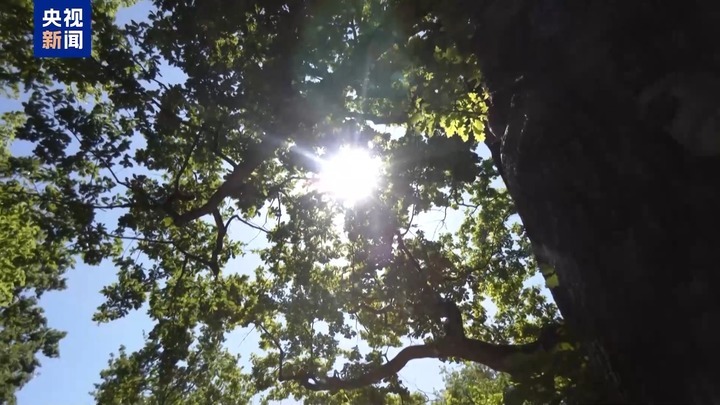 “热穹顶”效应下 新一轮热浪“烤”验北半球多国 “热穹顶”效应下 新一轮热浪“烤”验北半球多国