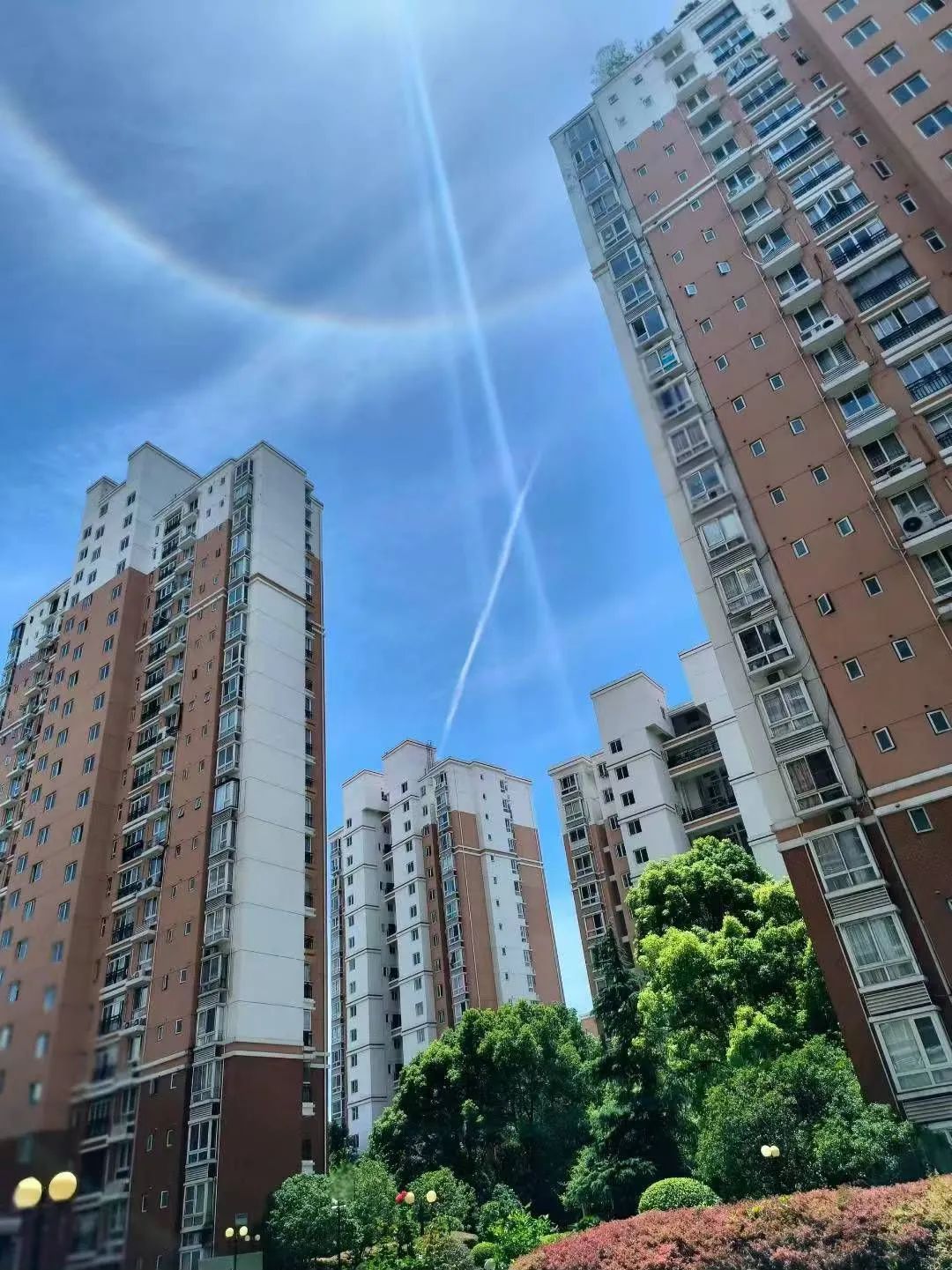上海今日惊现“太阳彩虹”！绝美日晕刷屏，这样拍不伤眼→