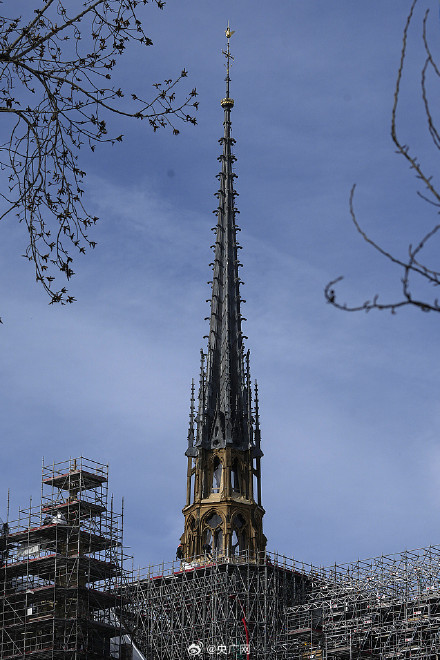 巴黎圣母院尖塔9月首开放