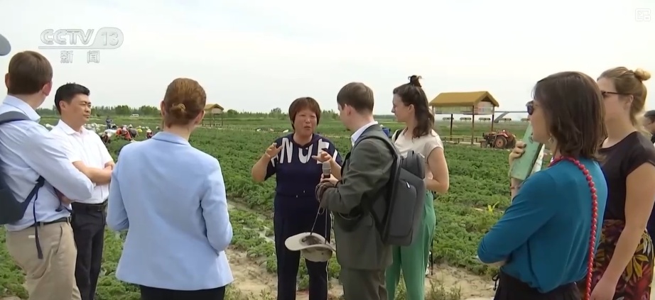 茶饮店跨界卖“菜”一杯难求成新宠 解码“以茶会友”具象化“新”表达 茶饮店跨界卖“菜”一杯难求成新宠 解码“以茶会友”具象化“新”表达