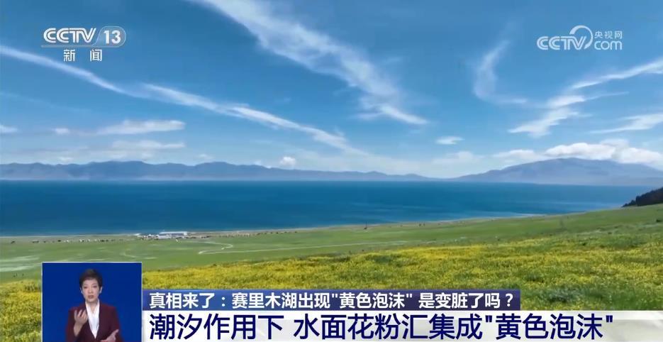 新疆赛里木湖出现“黄色泡沫” 是变脏了吗?真相原来是→ 新疆赛里木湖出现“黄色泡沫” 是变脏了吗?真相原来是→