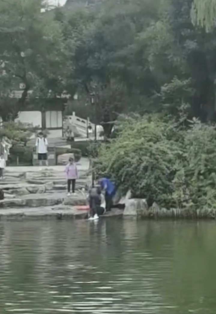 紧急救援!济南大明湖景区一名男子意外落水 紧急救援!济南大明湖景区一名男子意外落水