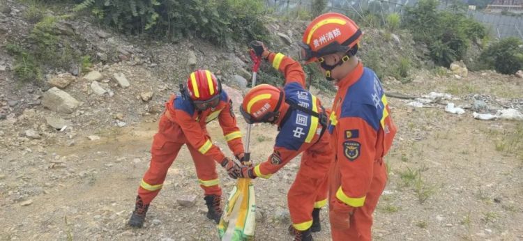 花溪惊现“黄金蟒”,贵阳消防紧急前往抓捕 花溪惊现“黄金蟒”,贵阳消防紧急前往抓捕