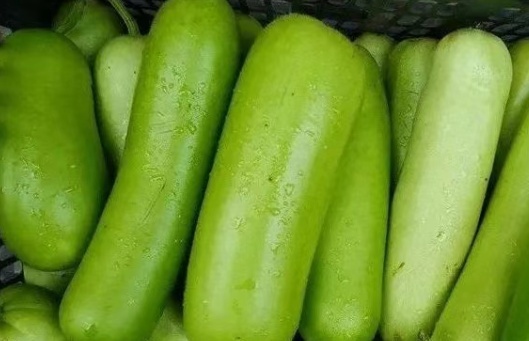 紧急提醒!这种夏日常吃的瓜,一旦出现这情况立刻扔! 紧急提醒!这种夏日常吃的瓜,一旦出现这情况立刻扔!