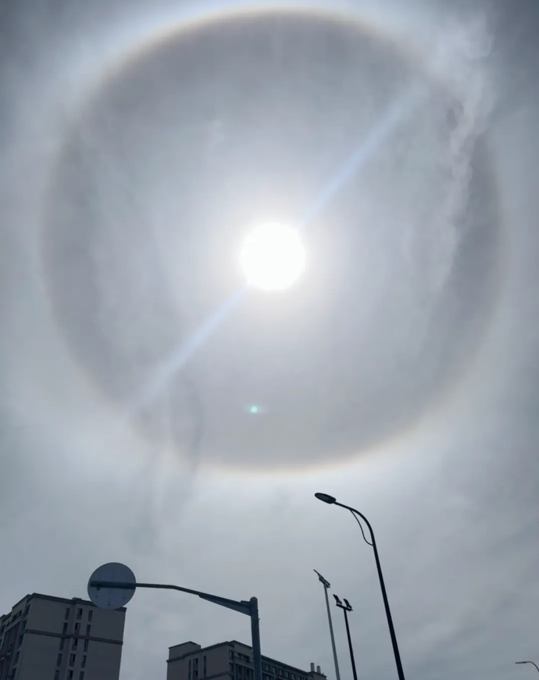 上海今日惊现“太阳彩虹”！绝美日晕刷屏，这样拍不伤眼→