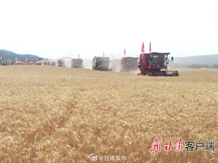 甘肃夏粮收获已过半