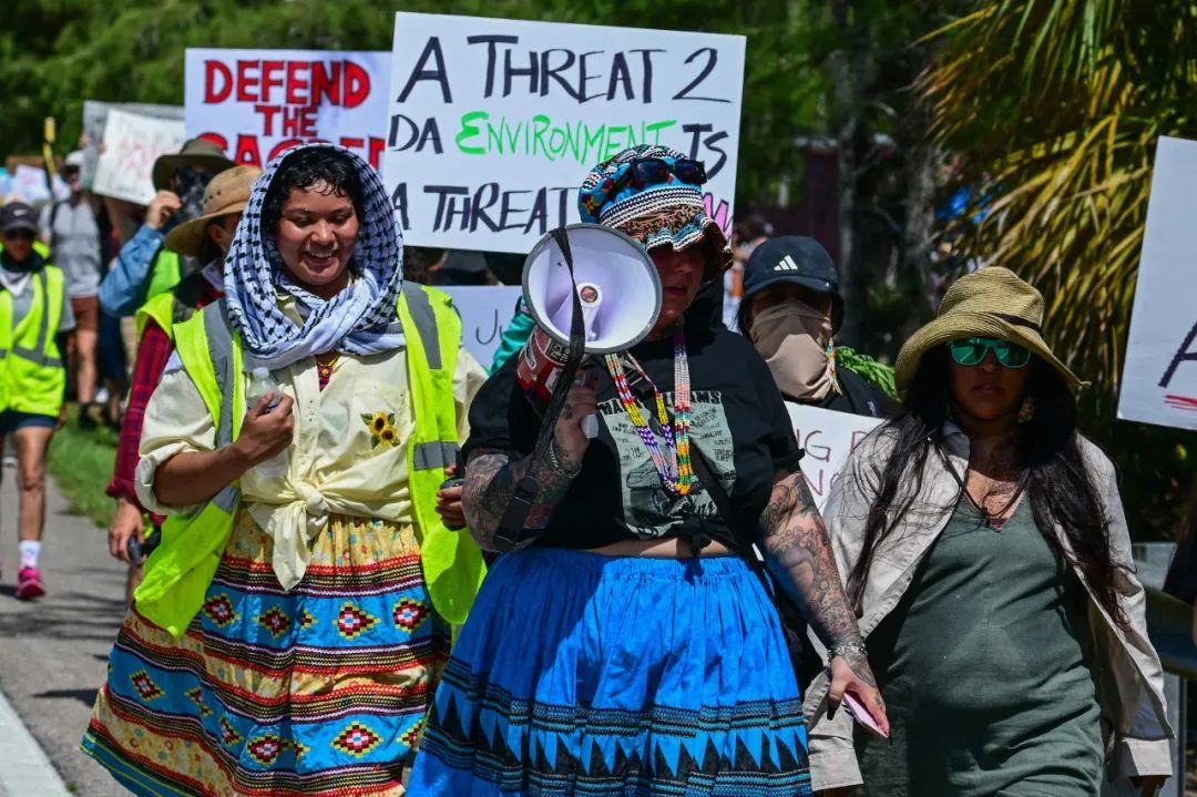 佛罗里达沼泽里,特朗普要拿鳄鱼蟒蛇做什么? 佛罗里达沼泽里,特朗普要拿鳄鱼蟒蛇做什么?