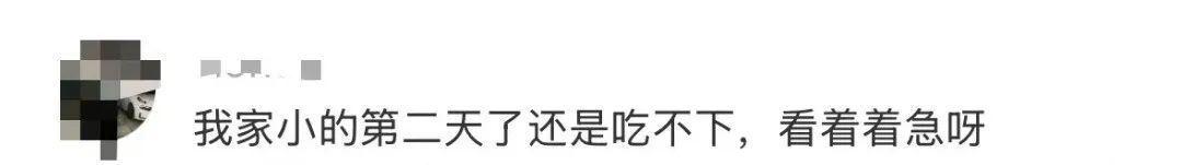 传染性极强！刚进入高发季！网友都在急：症状太遭罪……多地疾控紧急提醒