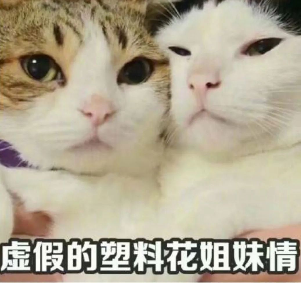 “警察吗？我要举报我老婆！”