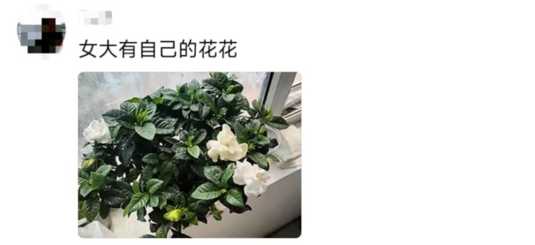 这个宿舍终究还是选对了!网友:可以睡觉是它最不值一提的优点 这个宿舍终究还是选对了!网友:可以睡觉是它最不值一提的优点