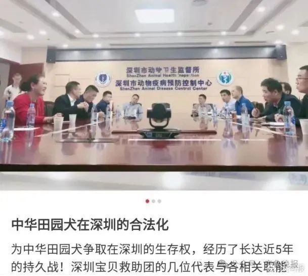 多地解禁“土狗”
