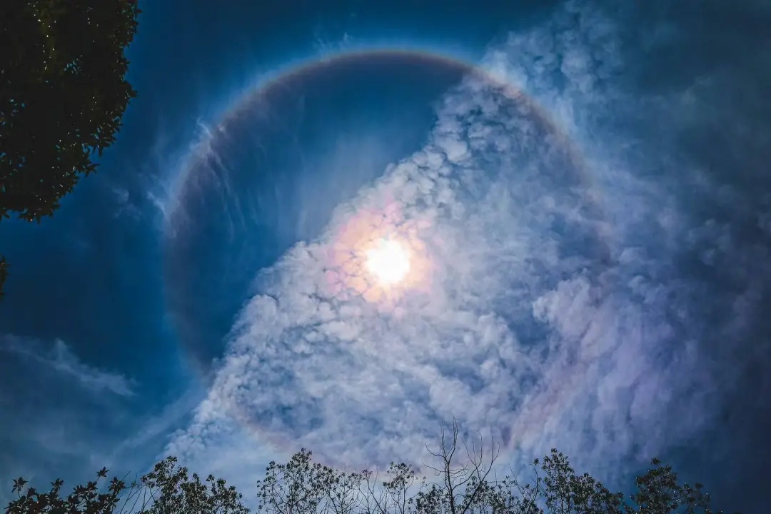 冲上热搜！突然在上海天空出现，大批市民抬头看，官方紧急提醒：直视有伤害