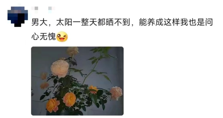 这个宿舍终究还是选对了!网友:可以睡觉是它最不值一提的优点 这个宿舍终究还是选对了!网友:可以睡觉是它最不值一提的优点